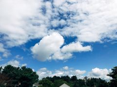 -柱状节理带