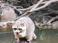 -长鹿旅游休博园