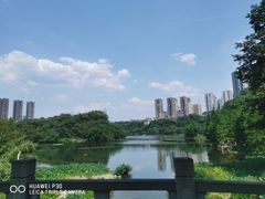 -重庆彩云湖湿地公园