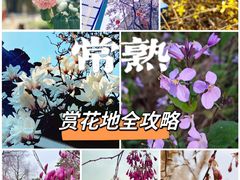 -尚湖风景区