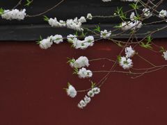 -雍和宫(地铁站)