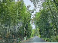 -蜀南竹海景区