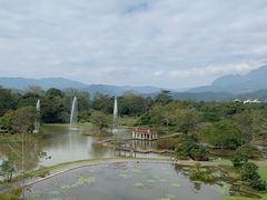 -中国科学院西双版纳热带植物园