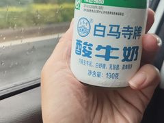-洛阳白马寺