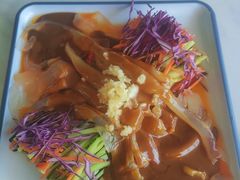 东北大拉皮-叁拾壹克饺子·东北菜(国贸店)