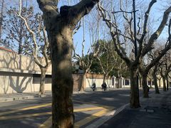 -RUMORS COFFEE ROASTERY鲁马滋咖啡(湖南路店)