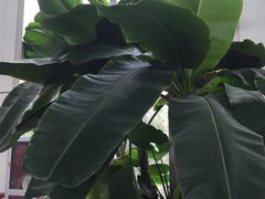 -中家鑫园温泉酒店鑫悦汤泉