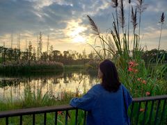 -白鹭湾湿地公园