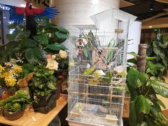 -舌尖上的食缘花园主题餐厅