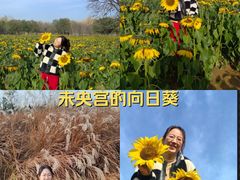 -汉长安城未央宫国家考古遗址公园