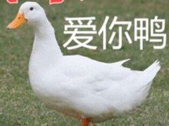 -南京财经大学（仙林校区）-图书馆