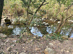 -福清灵石山国家森林公园