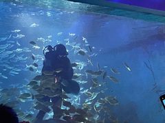 -常州海昌海洋探索馆