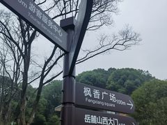 -岳麓山风景名胜区