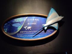 -成都浩海立方海洋公园