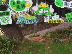 -芦仙山景区-飞越丛林探险乐园