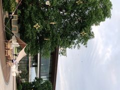 -云里小坐·海泉湾·团建·宴席·下午茶(金堂海泉湾店)