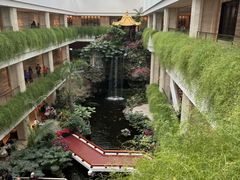 -广州白天鹅宾馆