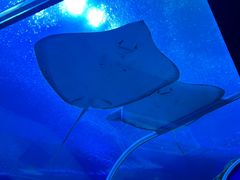 -珠海长隆海洋王国