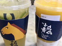 -春丽小马(济南恒隆广场店)