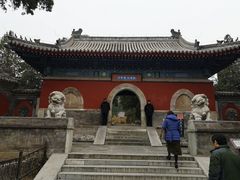 -北京鹫峰国家森林公园