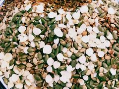 瓜子-老马家马蓉蛋菜夹馍·腊牛肉夹馍(回民街店)