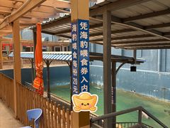 -蓬莱欧乐堡海洋极地世界