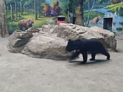 -鄂尔多斯野生动物园