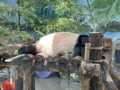 -宁波野生动物园