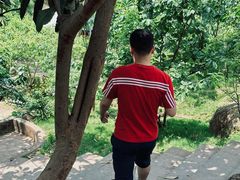 -桃源山庄·烤全羊·柴火鸡·烧烤团建(龙泉山店)