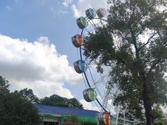 -森波拉奇妙世界