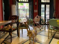 大堂-猫色咖啡·猫咖