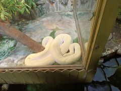 -上海大自然野生昆虫馆