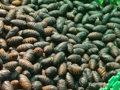 -刘全生鲜超市(南八马路店)