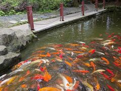 -天河潭旅游度假区