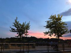 -长洲岛