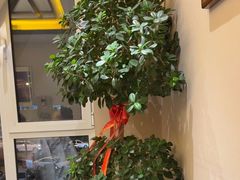 -二分八云雁阁•新晋菜大同味(长治路店)