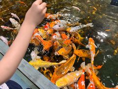 -上海大自然野生昆虫馆(东方明珠·爬宠昆虫探索中心)