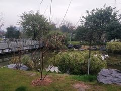 -楠溪江风景名胜区