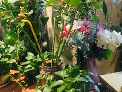 -舌尖上的食缘花园主题餐厅