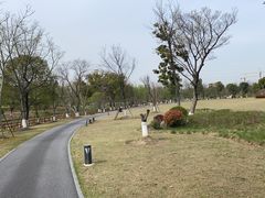 -九科绿洲