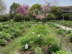 -合肥三国新城遗址公园