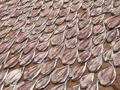 -尼甘布海鲜市场