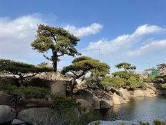 -罗红摄影艺术馆