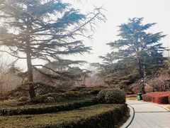 -汇泉广场