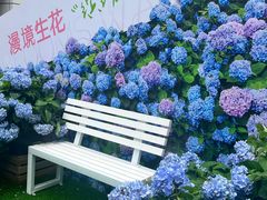 -HALO广场(梨园路店)