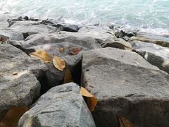 -巴拉湾海滩