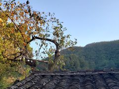 -杨家堂村