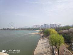 -济南国际园博园