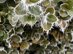 -兴芮温泉度假区